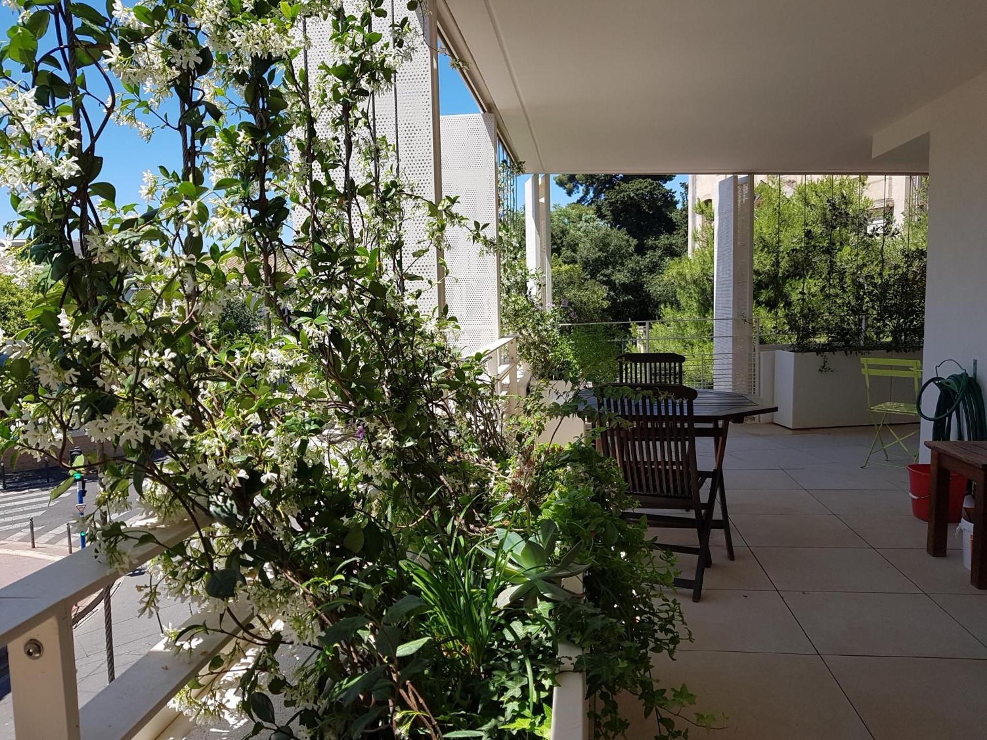 Appartement Centre Ville Beaux Arts 2 Personnes Calme Et Confort 蒙彼利埃 外观 照片